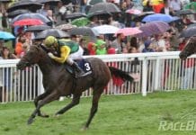 Ein Rückblick: Baden-Baden – Die Grosse Woche 2016