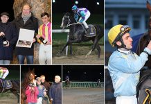 Galopp-Rückblick Dortmund 23.01.18 – Die Top-Favoriten kalt erwischt!