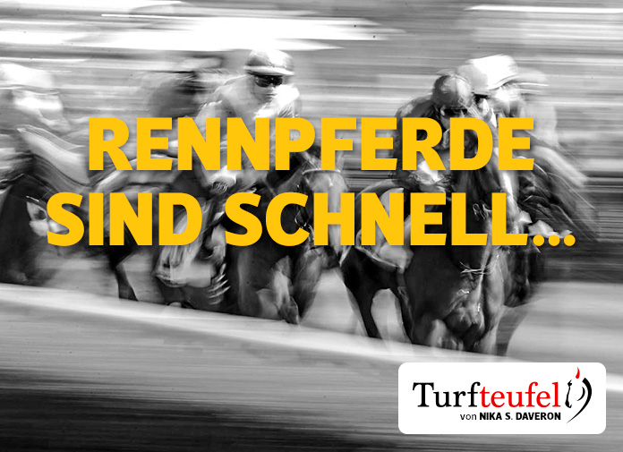 Rennpferde sind schnell... RaceBets Blog