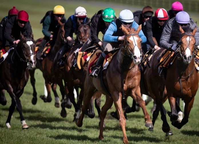 Die besten Rennpferde der Geschichte RaceBets Blog