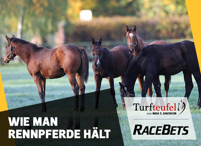 Wie man Rennpferde hält Turfteufel Wie man Rennpferde hält