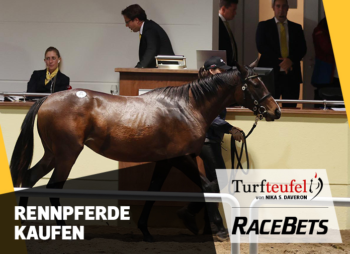 Turfteufel: Rennpferde kaufen TURFTEUFEL Rennpferde kaufen