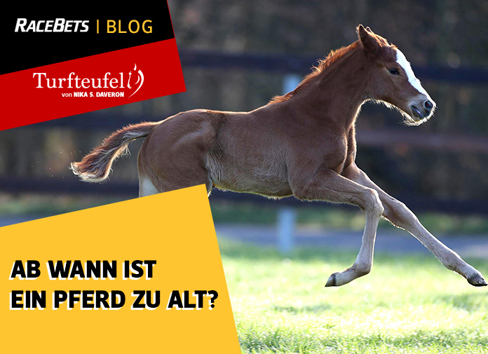 Turfteufel: Ab wann ist ein Pferd zu alt?