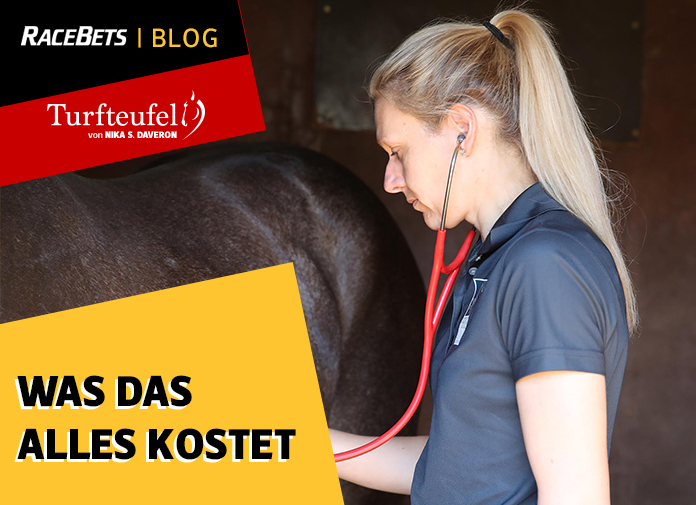 Turfteufel: Was das alles kostet