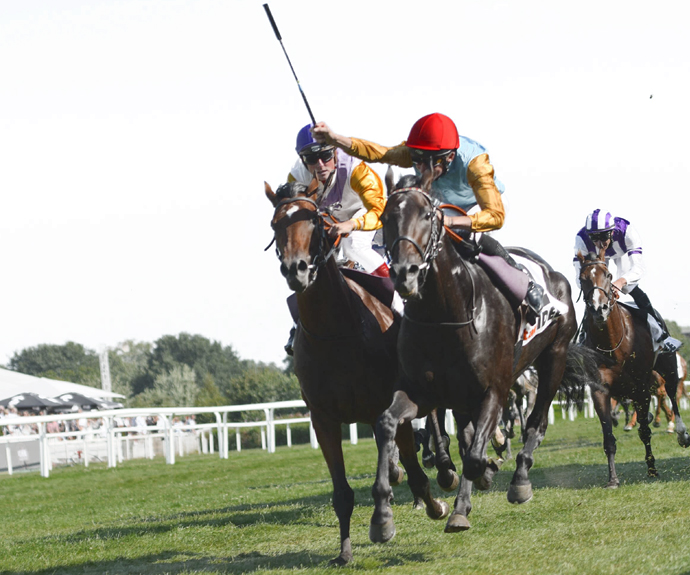 Deutsches Derby Wett-Tipps Deutsches Derby Wett-Tipps