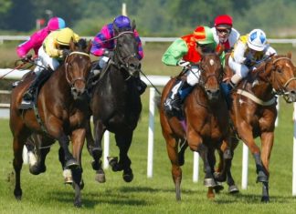 RaceBets Blog – Aktuelles zu Pferderennen und Pferdewetten OLD1 RaceBets Blog - Aktuelles zu Pferderennen und Pferdewetten