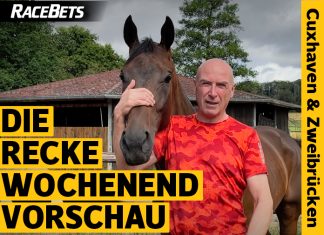 Recke Vorschau auf Cuxhaven & Zweibrücken 15/16.7.23 Recke Vorschau auf Cuxhaven & Zweibrücken 15/16.7.23