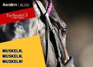 Turfteufel: Muskeln, Muskeln, Muskeln Turfteufel: Muskeln, Muskeln, Muskeln