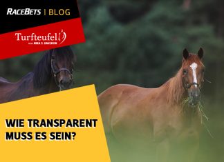 Turfteufel: Wie transparent muss es sein? Turfteufel: Wie transparent muss es sein?