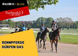 Turfteufel: Rennpferde dürfen das Turfteufel: Rennpferde dürfen das