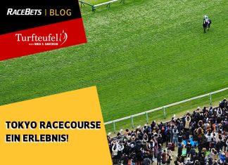 Turfteufel: Tokyo Racecourse Turfteufel: Tokyo Racecourse