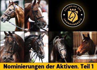 Champion des Jahrhunderts – Nominierungen der Aktiven Teil 1 Champion des Jahrhunderts Nominierungen Aktive 1