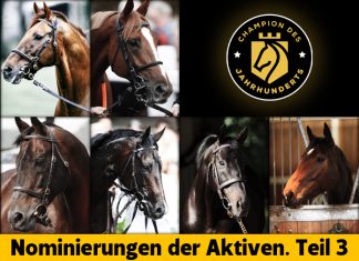 Champion des Jahrhunders – Nominierungen der Aktiven Teil 3 Champion des Jahrhunders Nominierungen Aktive 3