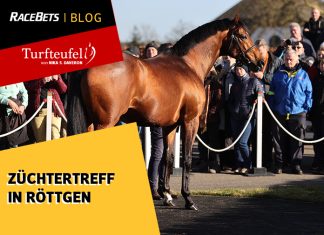 Turfteufel: Züchtertreff in Röttgen Turfteufel