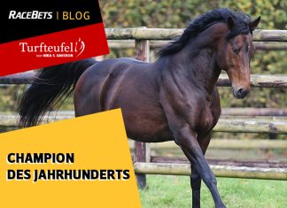 Turfteufel: Champion des Jahrhunderts Turfteufel- Champion des Jahrhunderts