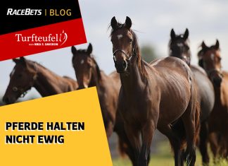 Turfteufel: Pferde halten nicht ewig Turfteufel: Pferde halten nicht ewig