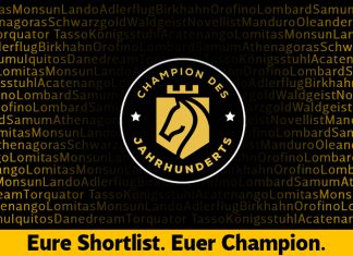 Champion des Jahrhunderts – Die Shortlist