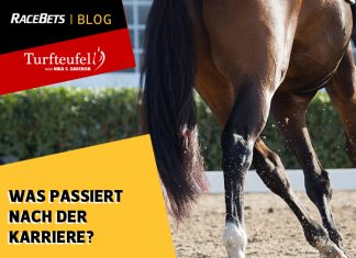 Turfteufel: Was nach der Karriere passiert Turfteufel Was nach der Karriere passiert