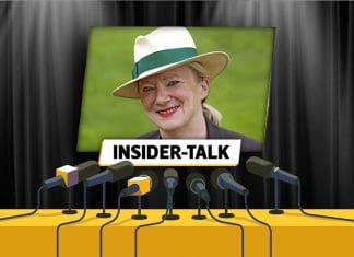 Insider-Talk mit Susanne L. Born: „Mich reizt die Gratwanderung“ BLOG - Susanne Born