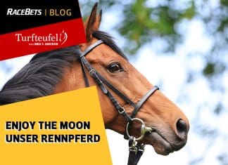 Turfteufel: Enjoy the Moon – unser Rennpferd Enjoy the Moon rennpferd