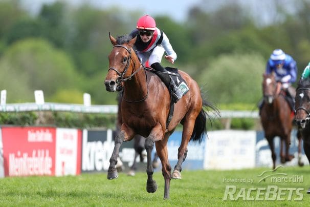 Maigret siegt unter Lukas Delozier im Dr. Busch-Memorial - Gr.3 am 28.04.2024 Renntag in Krefeld.