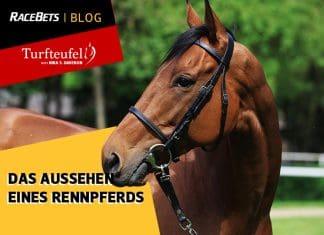 Turfteufel: Das Aussehen eines Rennpferds Blog_Post_Turfteufel