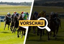 Pferderennen Baden-Baden: Am Sonntag wird die Winterkönigin gesucht