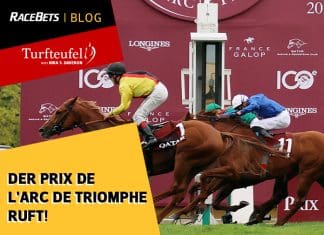 Turfteufel: Der Arc ruft