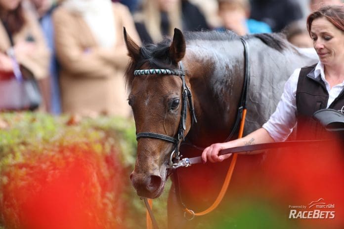 Nicoreni siegt unter Sibylle Vogt im Carla Kellner Zukunftsrennen - Preis der Winterkönigin, Gr.3 am 20.10.2024 Renntag in Baden-Baden.