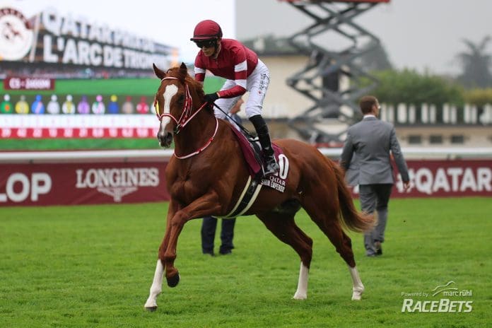 Shin Emperor am 06.10.2024 beim Renntag in Longchamp.